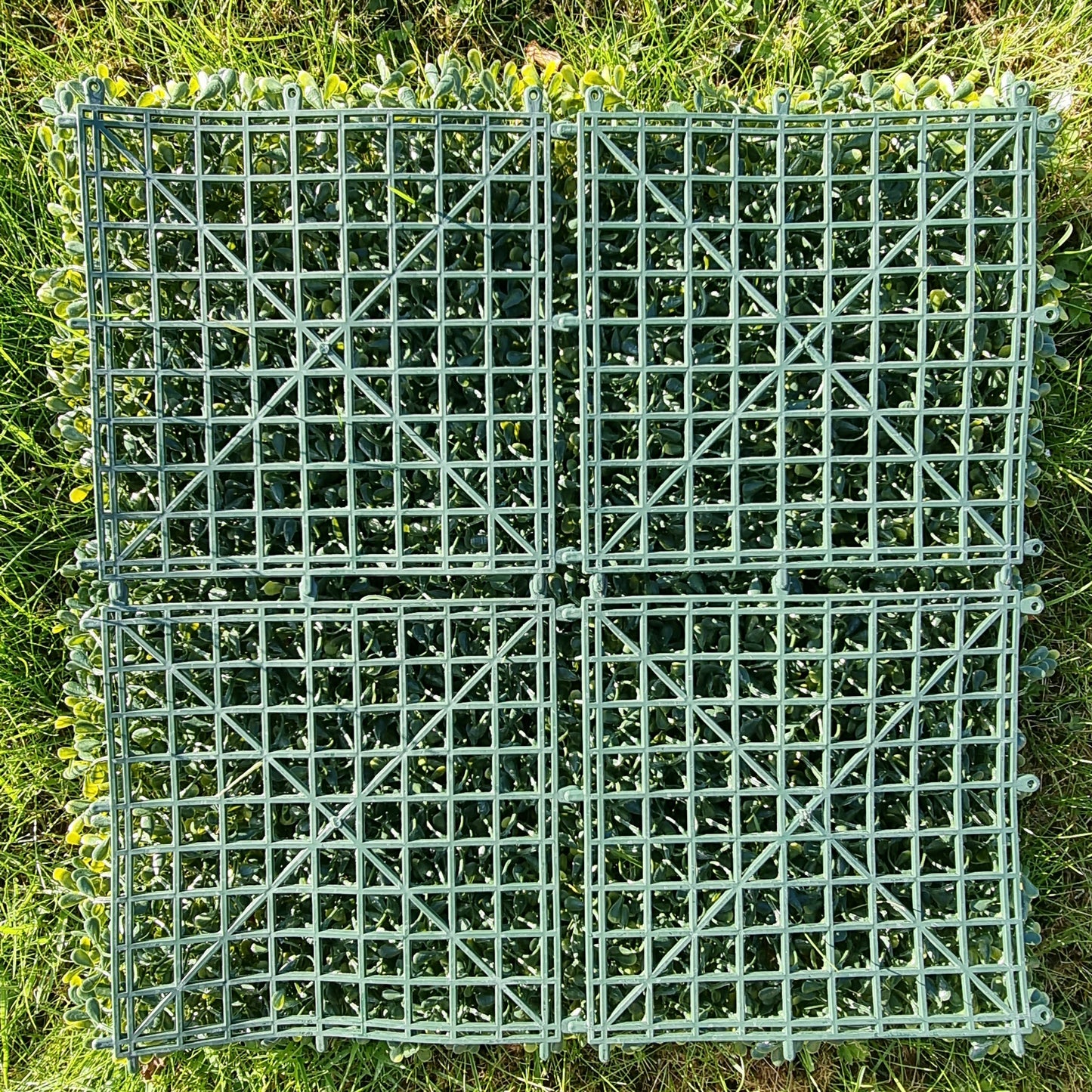 Artificial Yellow Boxwood Hedging Panel 50cm X 50cm