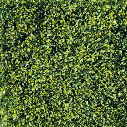 Artificial Yellow Boxwood Hedging Panel 50cm X 50cm