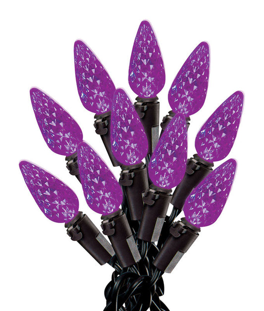 Celebrations 9736935 13.5 ft. LED C6 Lighted Purple Halloween Lights