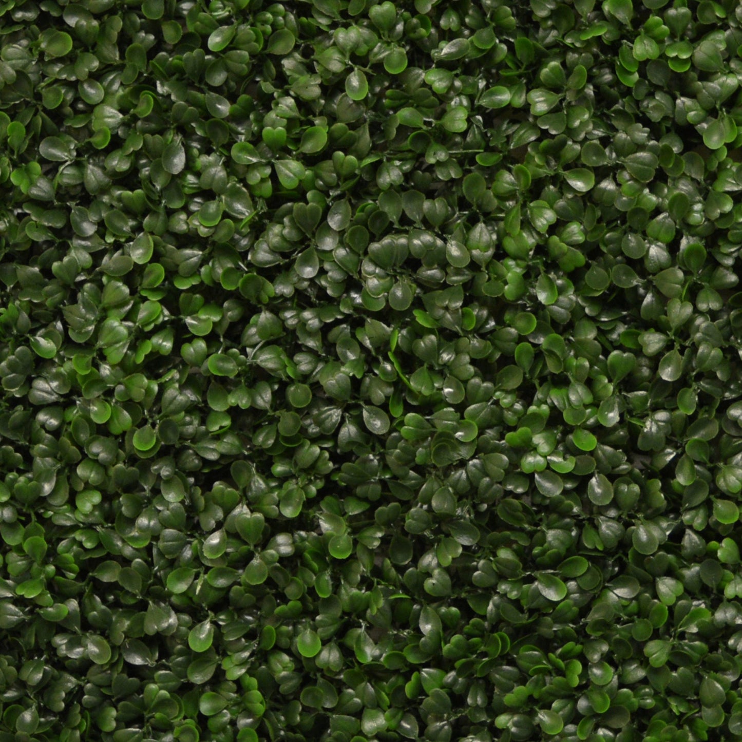Artificial Boxwood Hedging Panel 50cm X 50cm