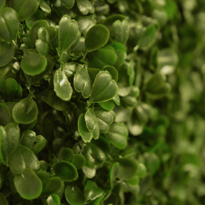 Artificial Boxwood Hedging Panel 50cm X 50cm