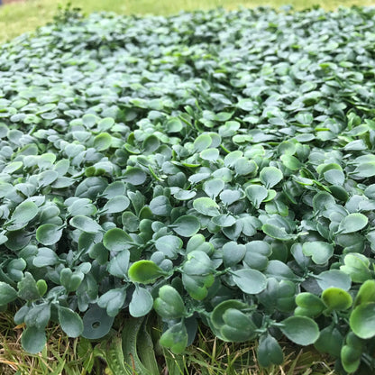Artificial Boxwood Hedging Panel 50cm X 50cm