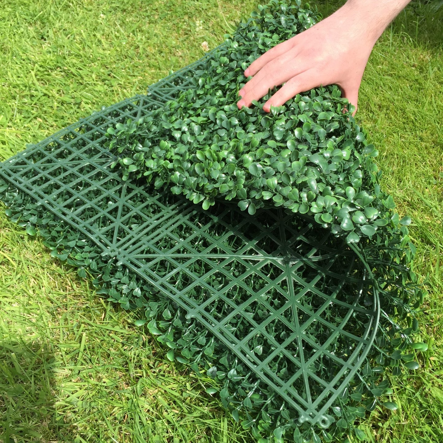 Artificial Boxwood Hedging Panel 50cm X 50cm