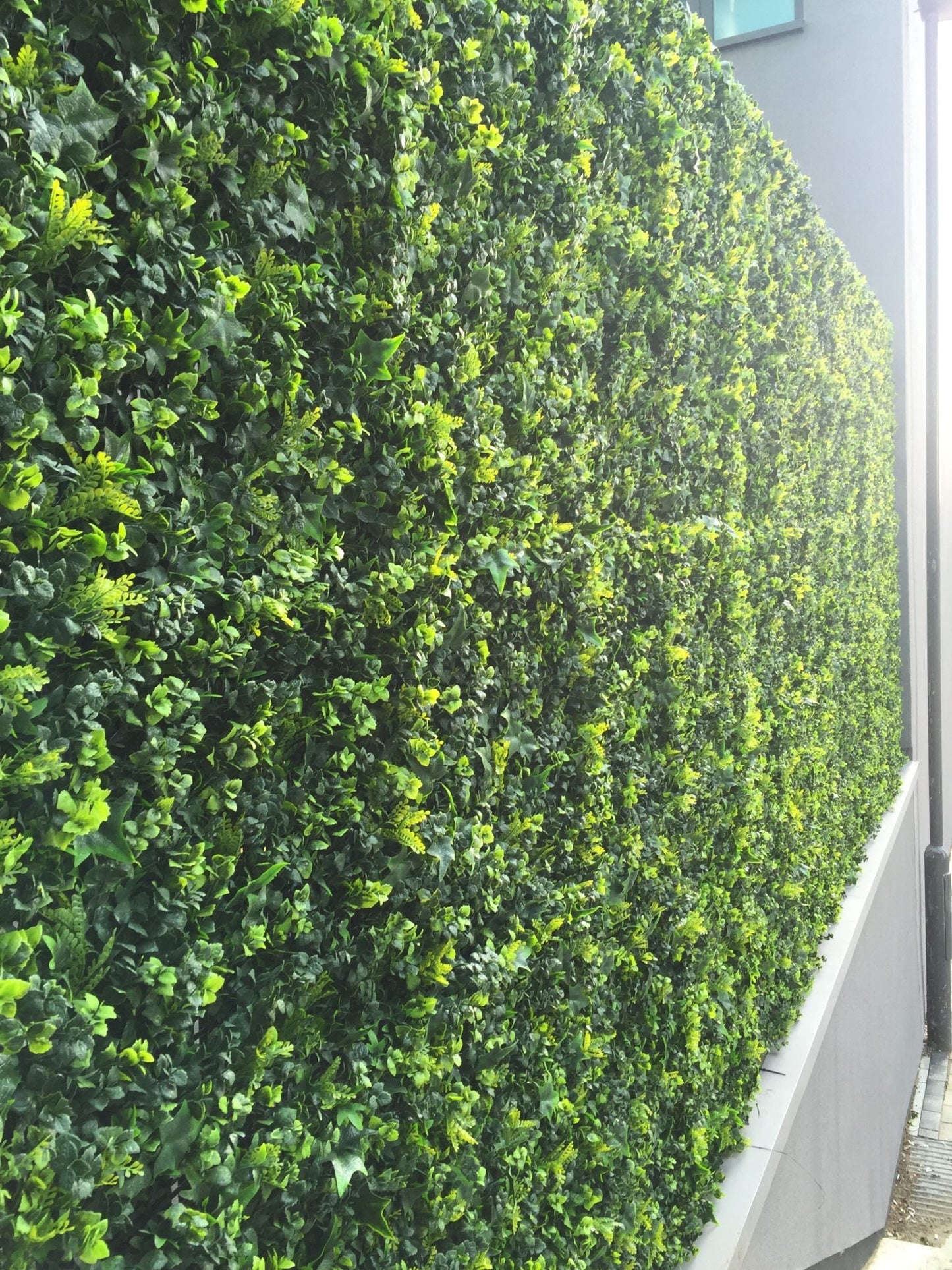 Artificial Ivy Bush 50cm x 50cm